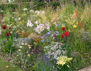 Tuinen Engeland | Gardens England, The Homebase Room with a View, Border, Lilium regale, Dahlia Bisshop of Llandaff, Gypsophila paniculata, Sanguisorba tenuifolia, Des.: Philippa Pearson, RHS Hampton Court Palace Flower Show